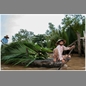 thumbnail Vietnam