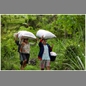 thumbnail Indonesia, Bali