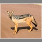 thumbnail Tanzania