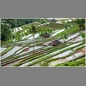 thumbnail Indonesia, Bali