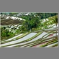 thumbnail Indonesia, Bali