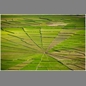 thumbnail Indonesia, Flores