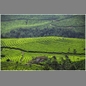 thumbnail India