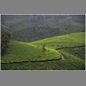 thumbnail India
