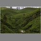 thumbnail India